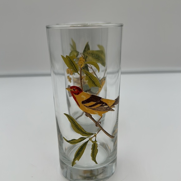 Set of 4 Vintage West Virginia Glass AMERICAN SONGBIRDS Flat Tumblers Glasses - Picture 7 of 16